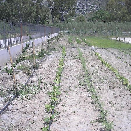Kryoneri Village מראה חיצוני תמונה