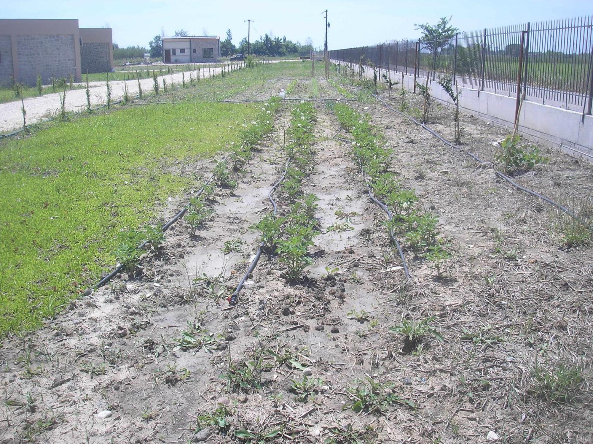 Kryoneri Village מראה חיצוני תמונה